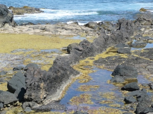 Phillip Island History